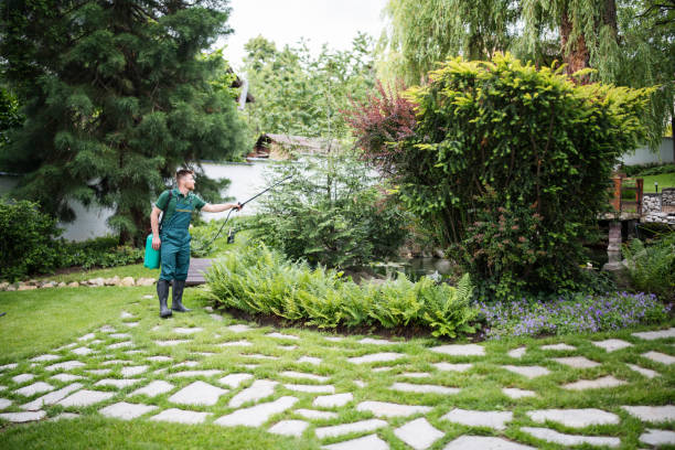 Best Pest Removal Services  in Oakton, VA