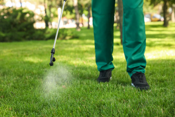Best Local Pest Control Services  in Oakton, VA