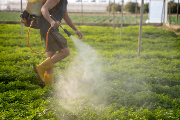 Professional Pest Control in Oakton, VA