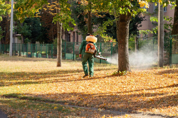 Wasp Removal Services in Oakton, VA