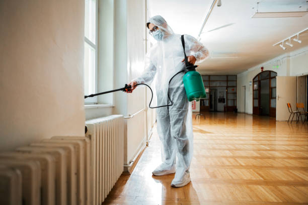 Best Flea Control Services  in Oakton, VA