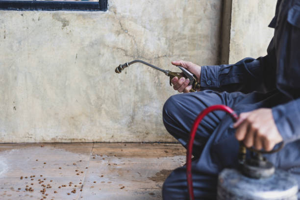 Professional Pest Control in Oakton, VA